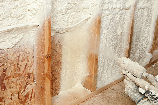 Best Spray Foam Insulation  in Dalworthington Gardens, TX